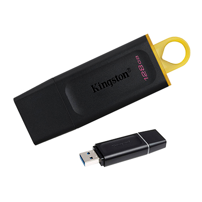 MEMORIA USB 3.2 KINGSTON DTX EXODIA 128GB