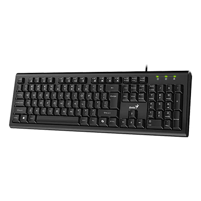TECLADO GENIUS KB-113 USB