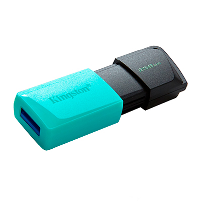 MEMORIA USB KINGSTON DT EXODIA M 256GB 3.2